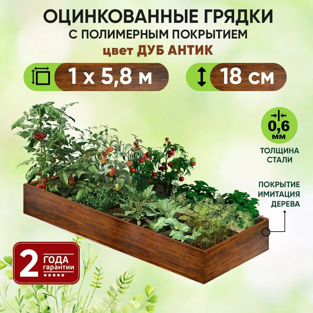 Грядка Дуб Антик (1 х 5,8)