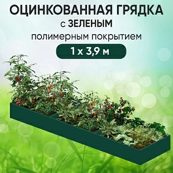 Грядка зеленая (1 х 3,9)