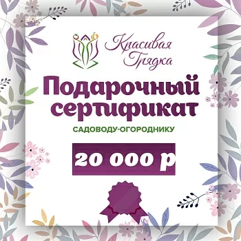 Подарочный сертификат 20000 р.